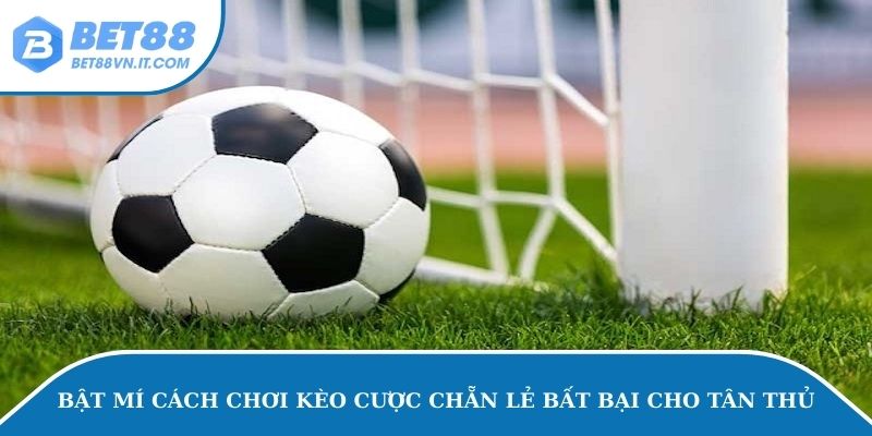 Chia sẻ cách chơi kèo chẵn lẻ cho bet thủ từ A đến Z