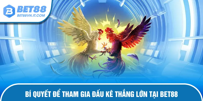 Bí quyết chơi đấu kê giành chiến thắng lớn