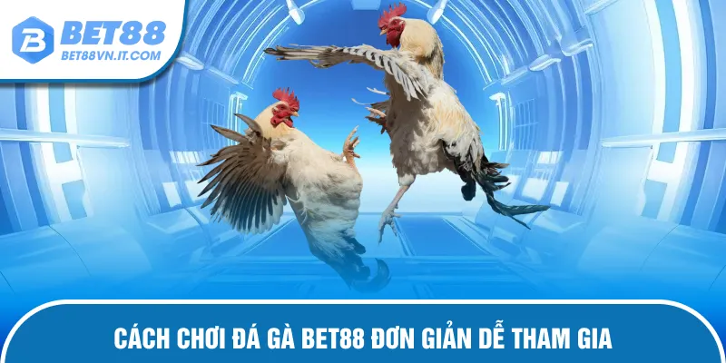 Hướng dẫn cược đấu kê đơn giản