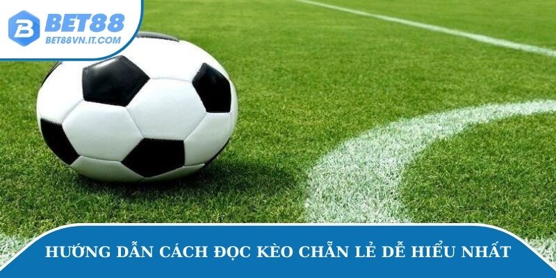 Hướng dẫn cách đọc kèo chẵn lẻ dễ hiểu nhất