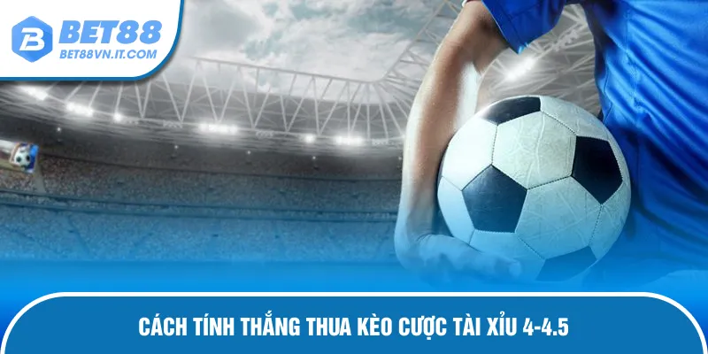 Hướng dẫn tính thưởng khi cược tài xỉu 4-4.5