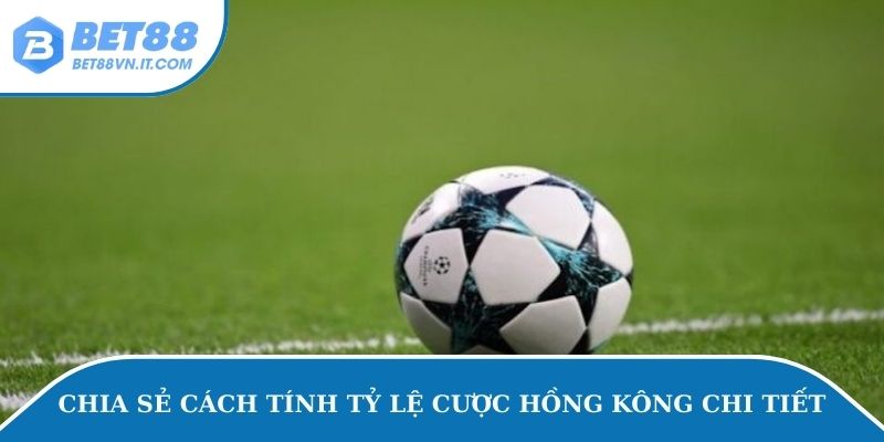 Chia sẻ cách tính tỷ lệ cược Hồng Kông chi tiết
