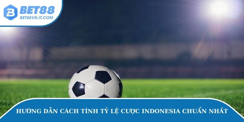 Hướng dẫn cách tính tỷ lệ cược Indonesia chuẩn nhất