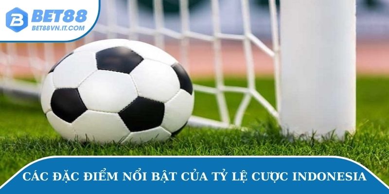 Các đặc điểm nổi bật của tỷ lệ cược Indonesia
