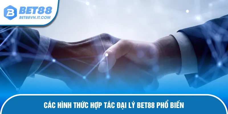 Hình thức cấp bậc phân chia cụ thể