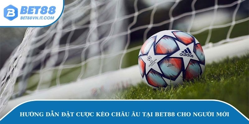 Hướng dẫn đặt cược kèo châu Âu tại Bet88 cho người mới