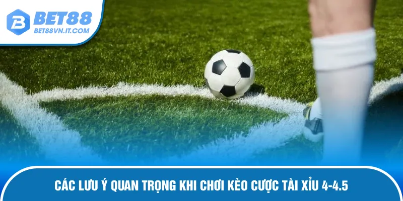 Vấn đề cần chú ý khi cược tài xỉu 4-4.5
