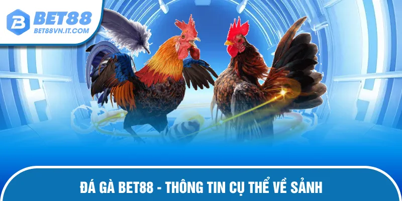 Thông tin chi tiết nhất về đá gà Bet88
