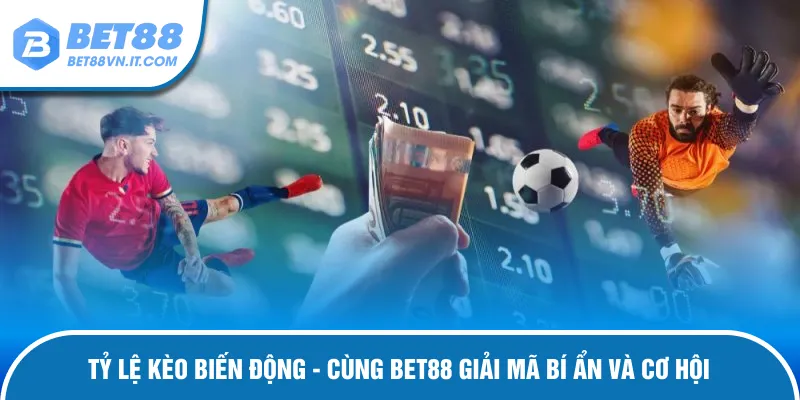 tỷ lệ kèo biến động bet88