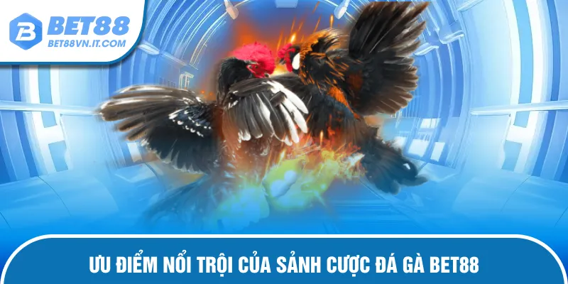 Ưu điểm nổi trội của sảnh cược đá gà Bet88